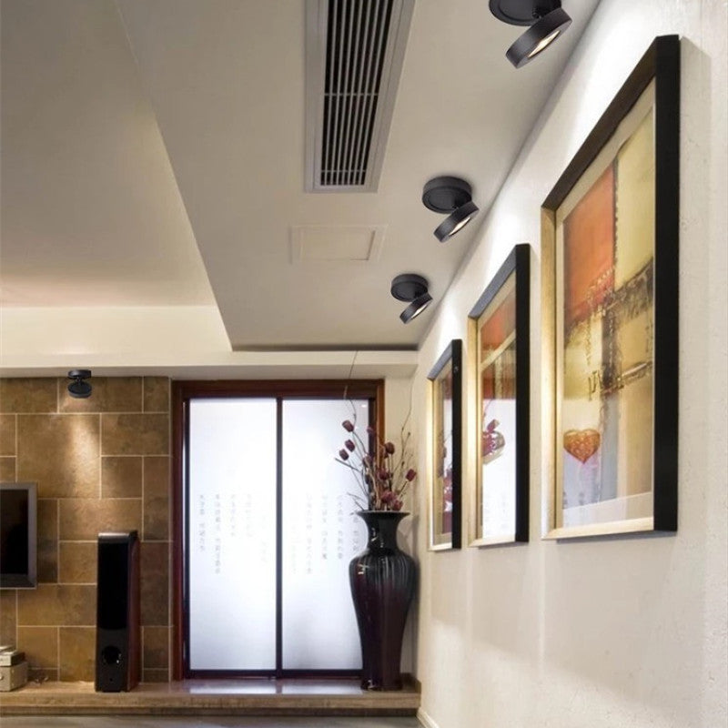 BowLift | Industrial Geometric Metal Ceiling Spot