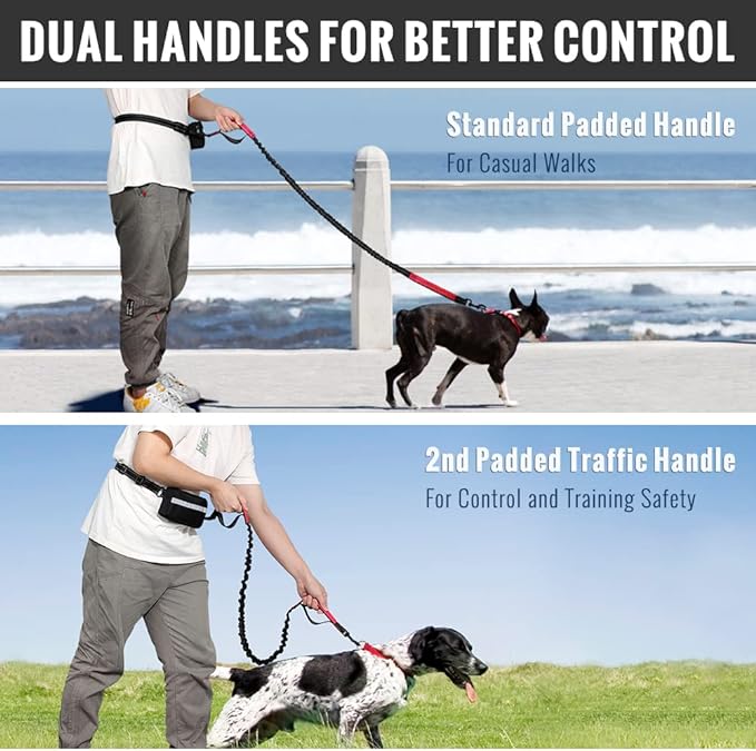 BowLift | PawsFree Pro – Enjoy stress-free walks with your dog