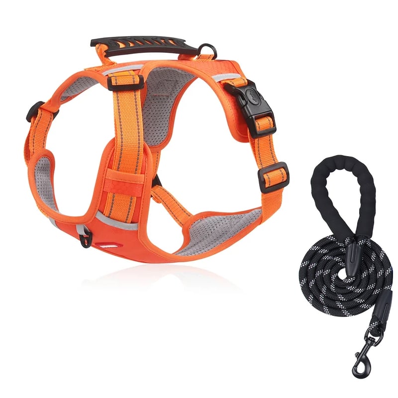 BowLift | No Pull Dog Harness for Pets
