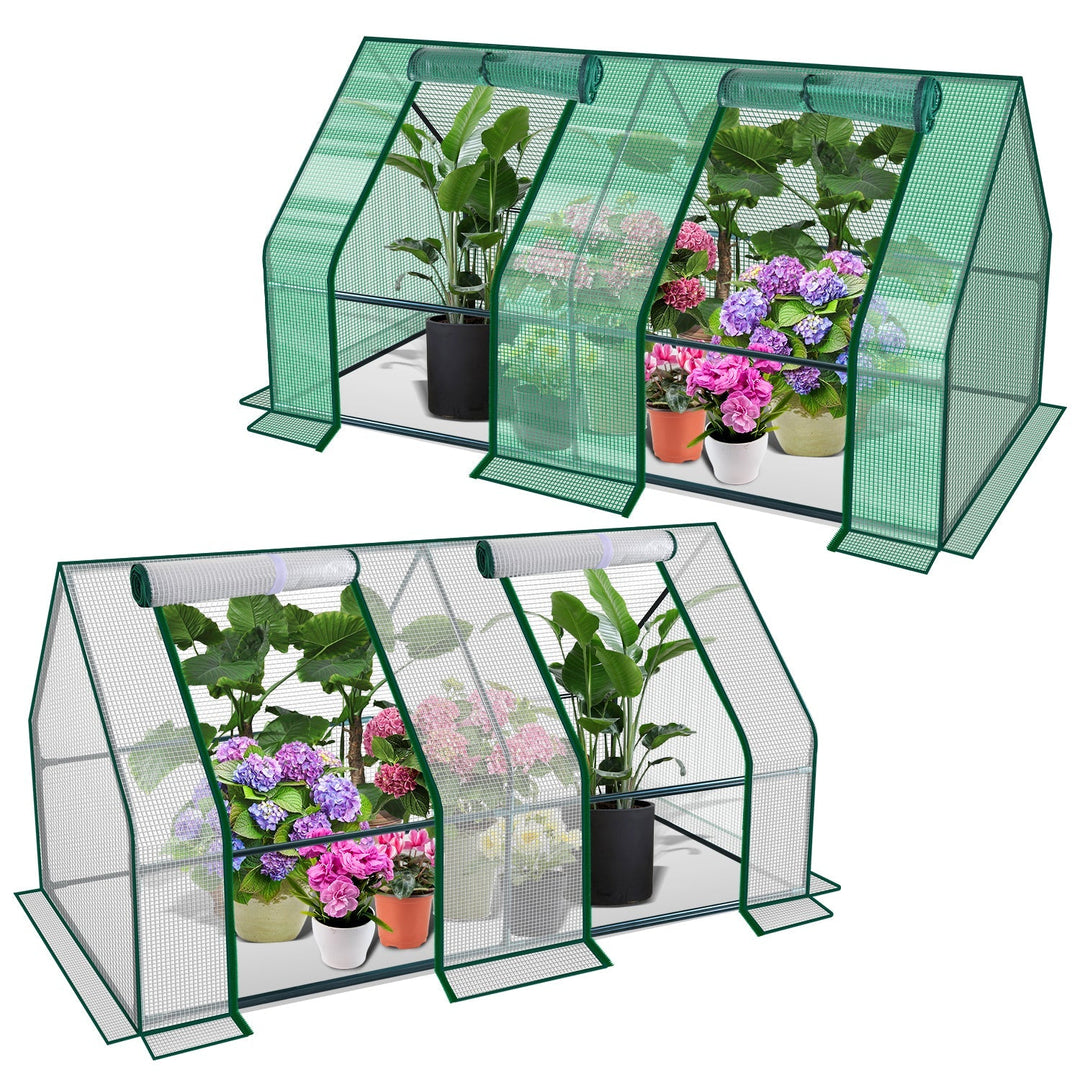 Greenhouse Tomato Greenhouse Hothouse | Bowlift