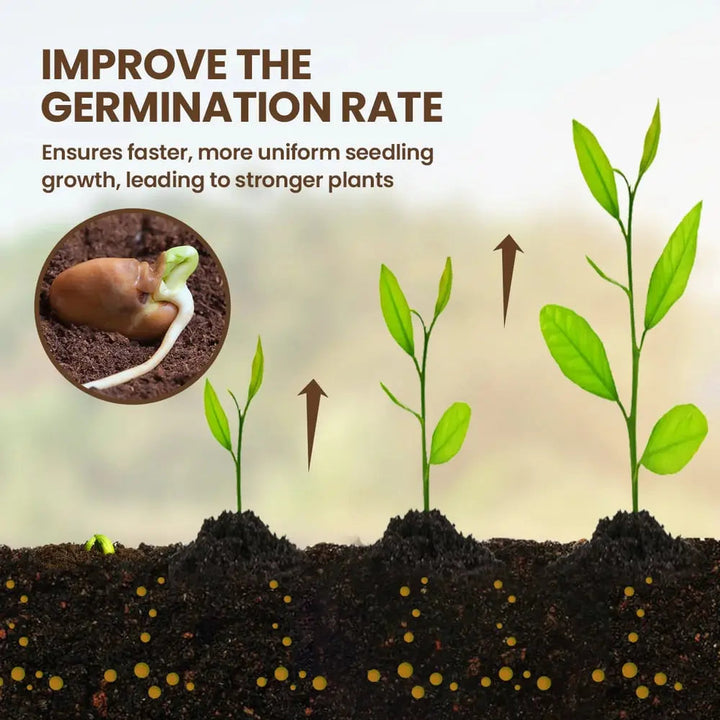 BowLift | 60 g Soil Activator with Minerals for Healthy Plants