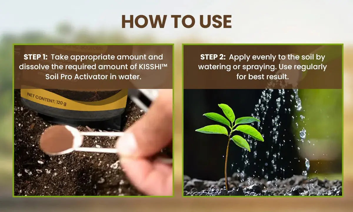 BowLift | 60 g Soil Activator with Minerals for Healthy Plants