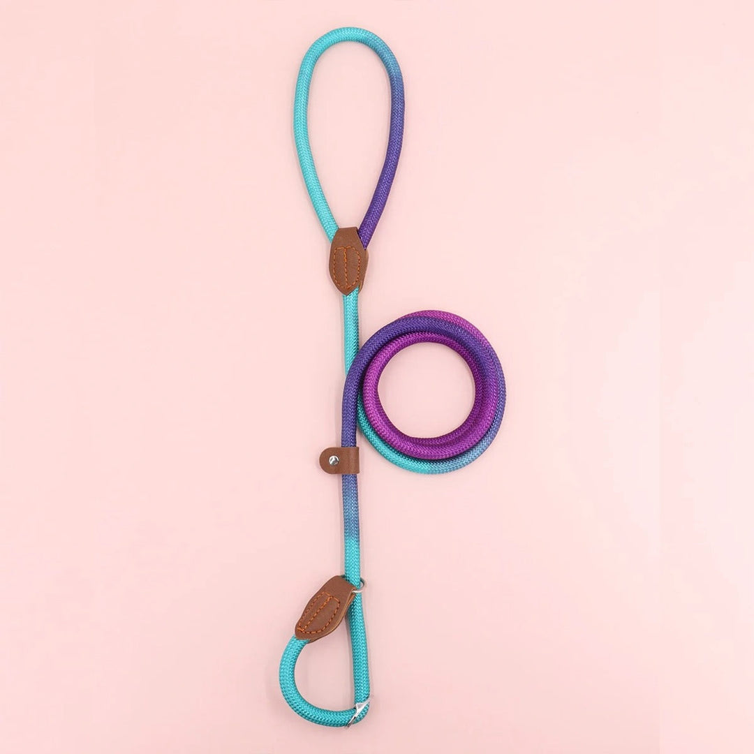 Clémentine Leash – Colorful Dog Leash for Stylish Walking Bowlift