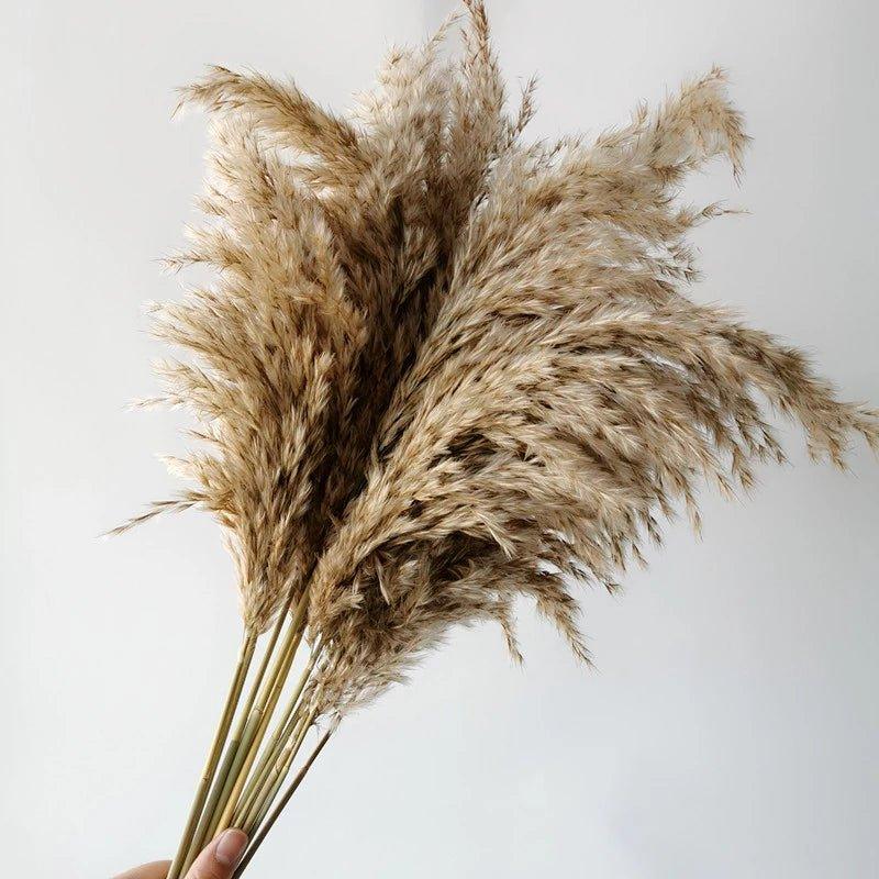 BowLift | 60 cm natural, real, brown-beige dried pampas grass bouquet │ fluffy feather for modern boho home decoration