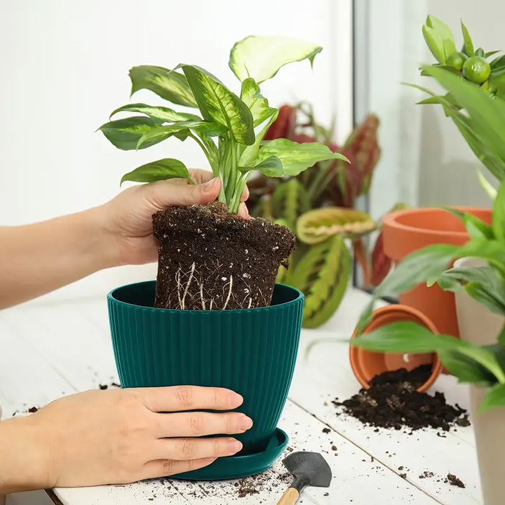 BowLift | Flower pot with groove structure and saucer – Sturdy plastic pot for plants