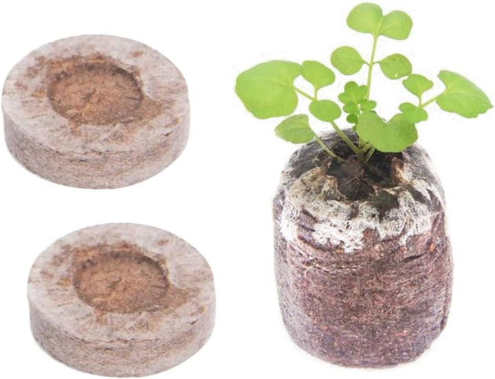 BowLift | Coconut Fiber Peat Seedling Pellets – Starter for Seed Planting