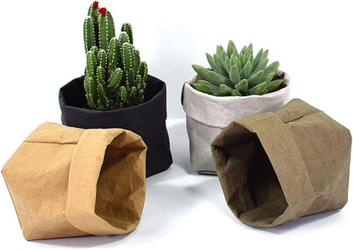 BowLift | Stylish plant pots made of paper for modern decoration