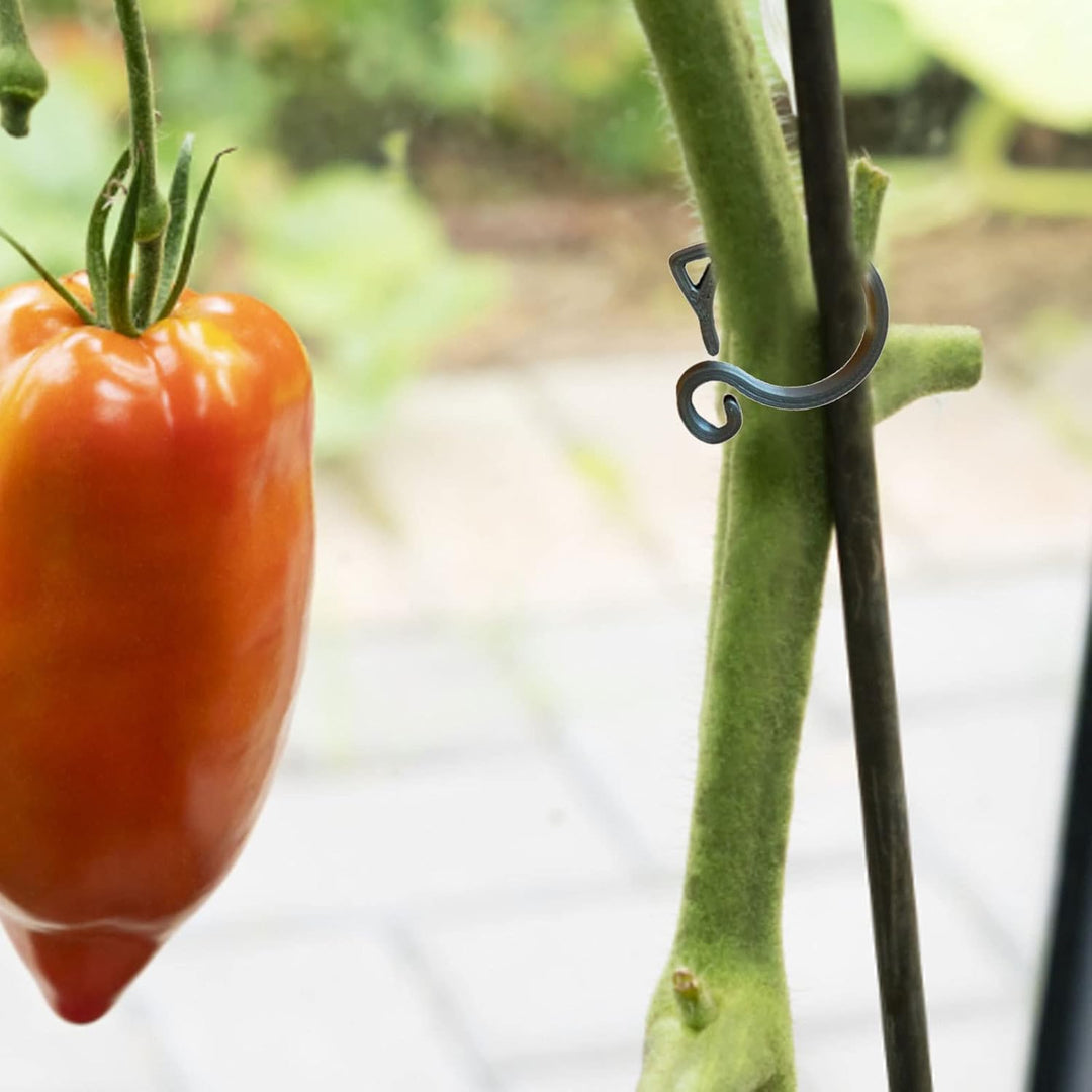 BowLift | Cat-shaped Plant Clip – Cute Plant Support for Garden and House Plants