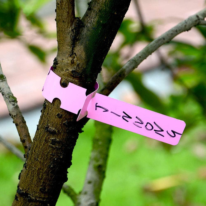 BowLift | Reusable plant labels made of plastic for garden and tree marking
