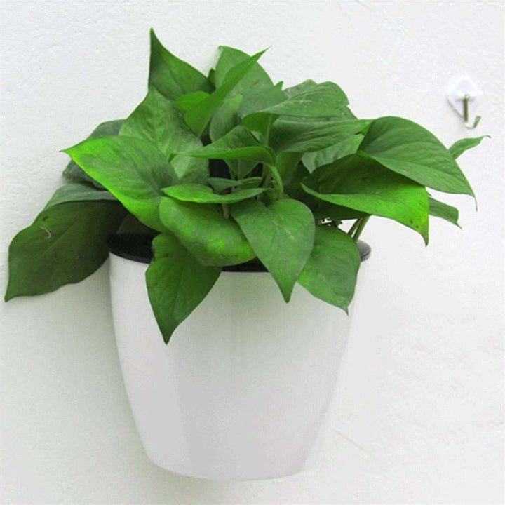 BowLift | watering flower pot