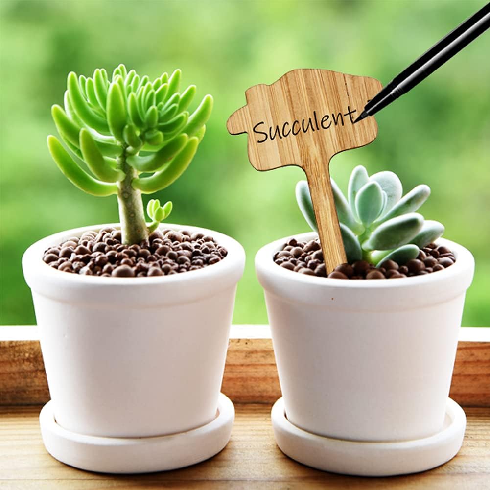 BowLift | Plant labels made of wood for garden and balcony – Rewritable labels for herbs and plants