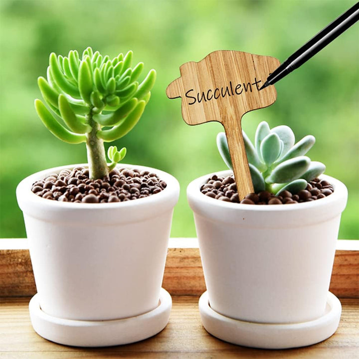 BowLift | Plant labels made of wood for garden and balcony – Rewritable labels for herbs and plants
