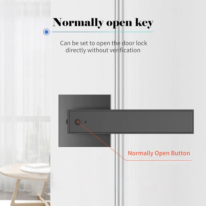 BowLift | Smart Fingerprint Door Lever Lock with Key Access & 30 User Capacity – Nivora