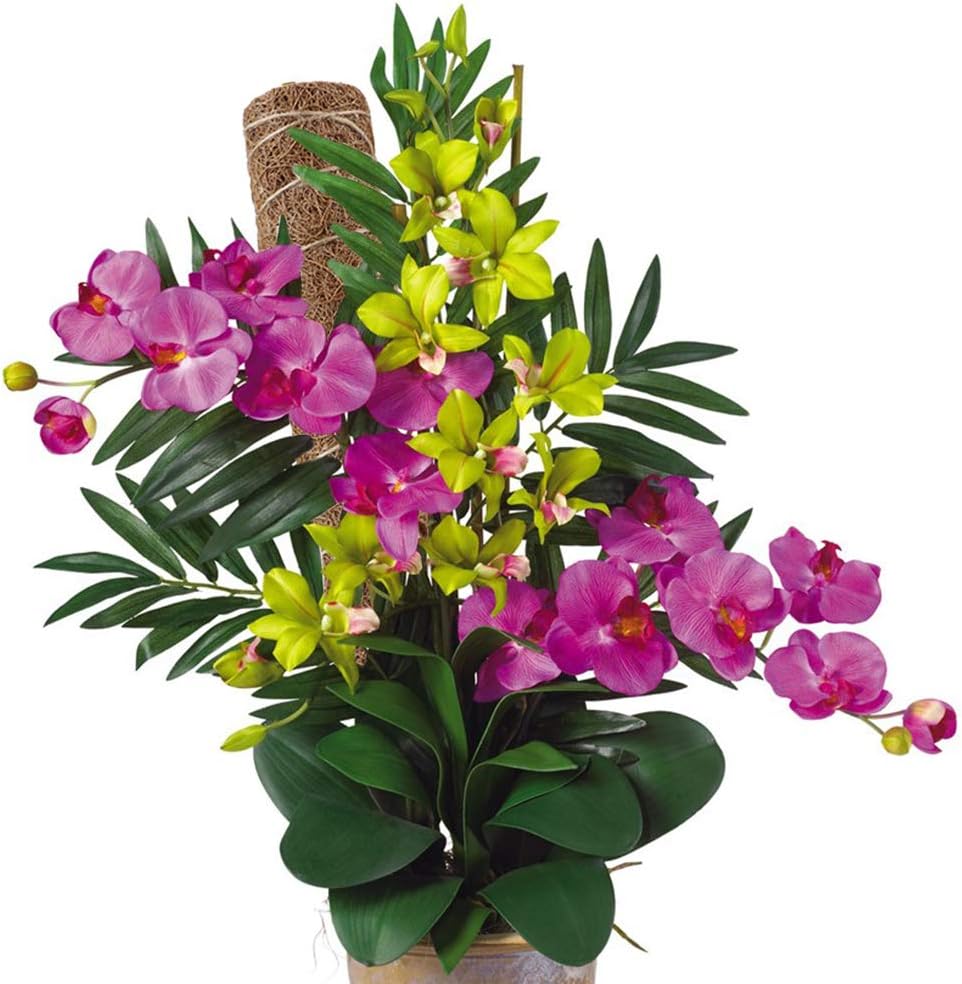 BowLift | Coconut moss stick for climbing plants – Natural climbing aid for houseplants and garden