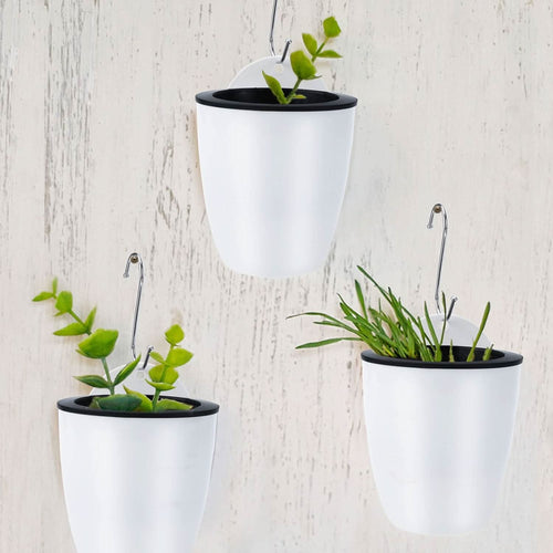 BowLift | watering flower pot