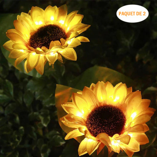 Solar Sunflower Light, 2 Pieces | Bowlift