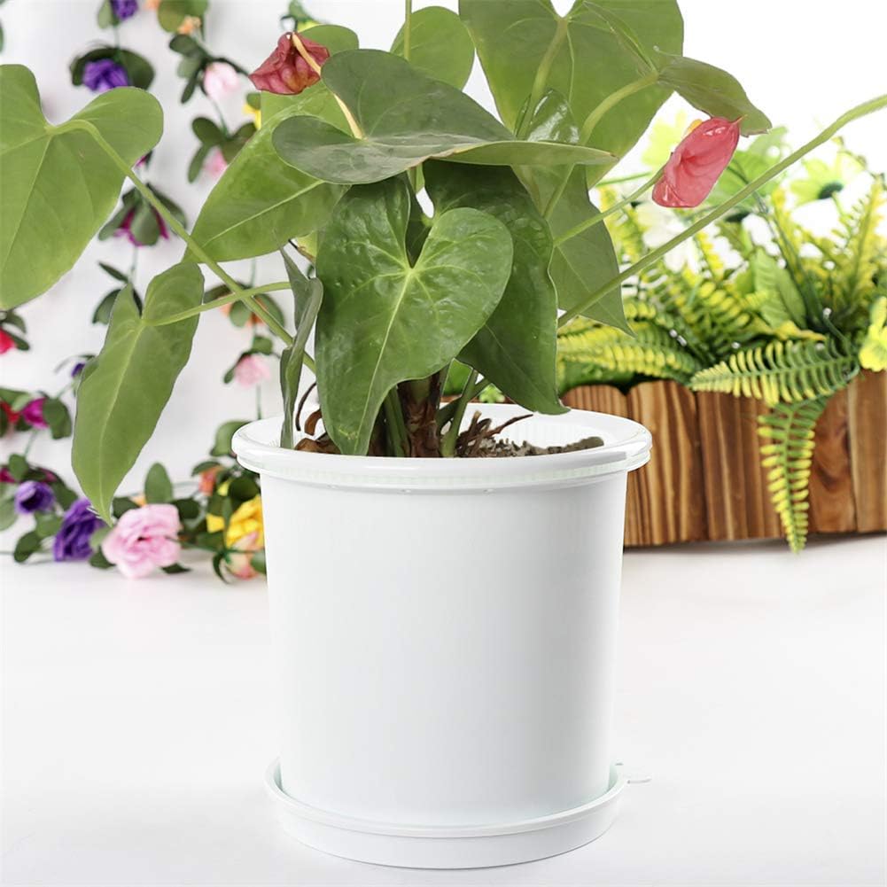 BowLift | Breathable Root Control Pot for Plants – Ideal for Healthy Growth and Optimal Aeration