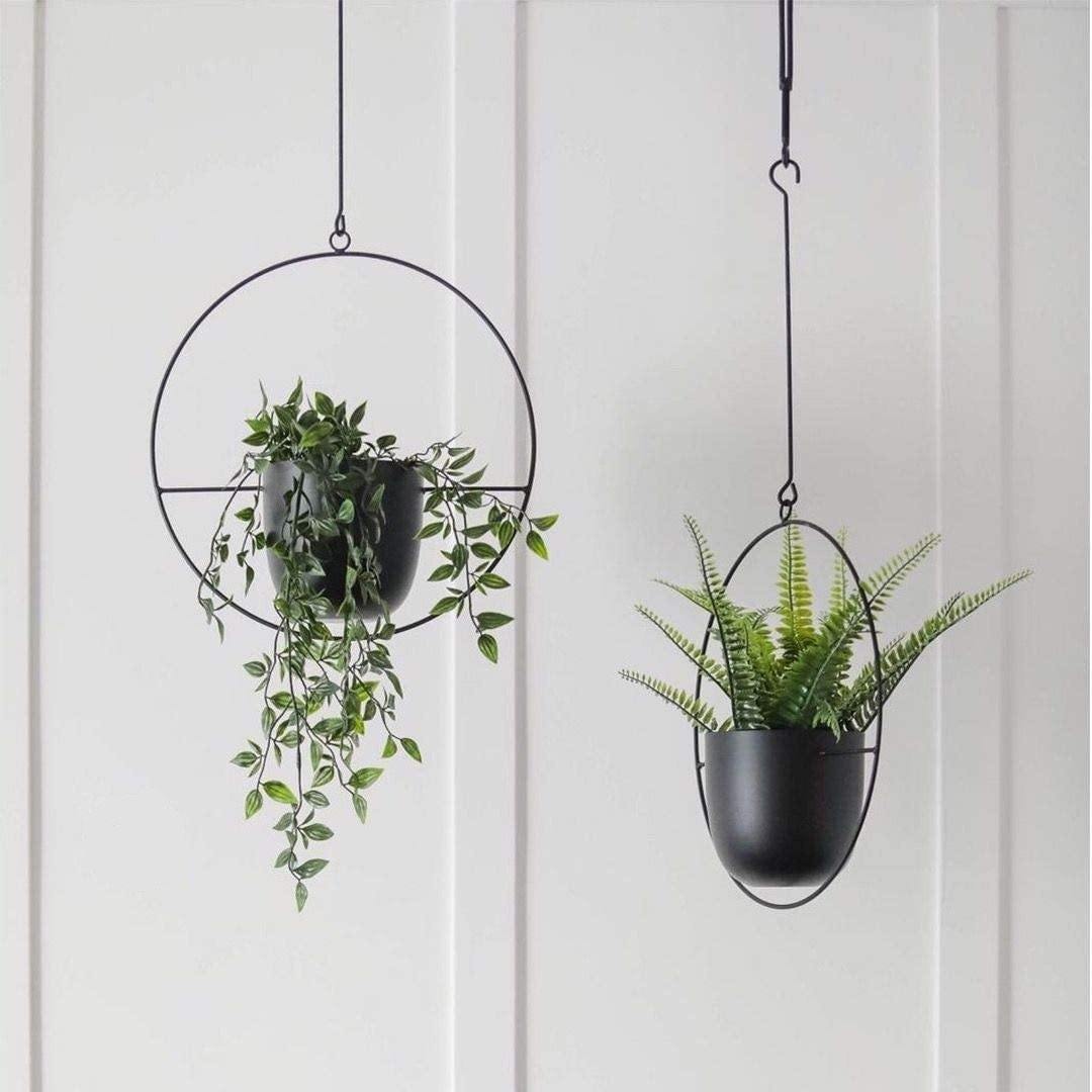 HaloRing Hanging Plant Holder – Metal Hanging Planter for Indoor and Outdoor | Bowlift