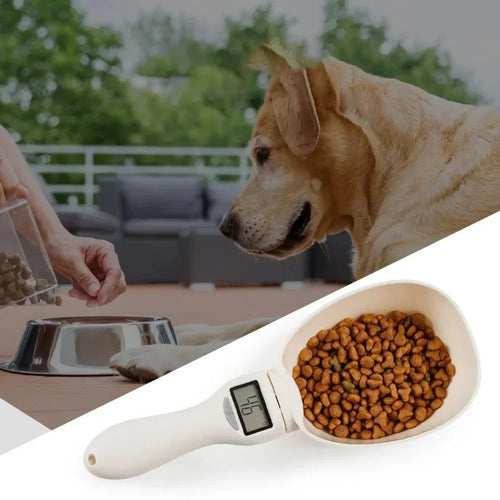 SmartPortion Electronic Measuring Spoon – Precise Feeding Made Easy Bowlift
