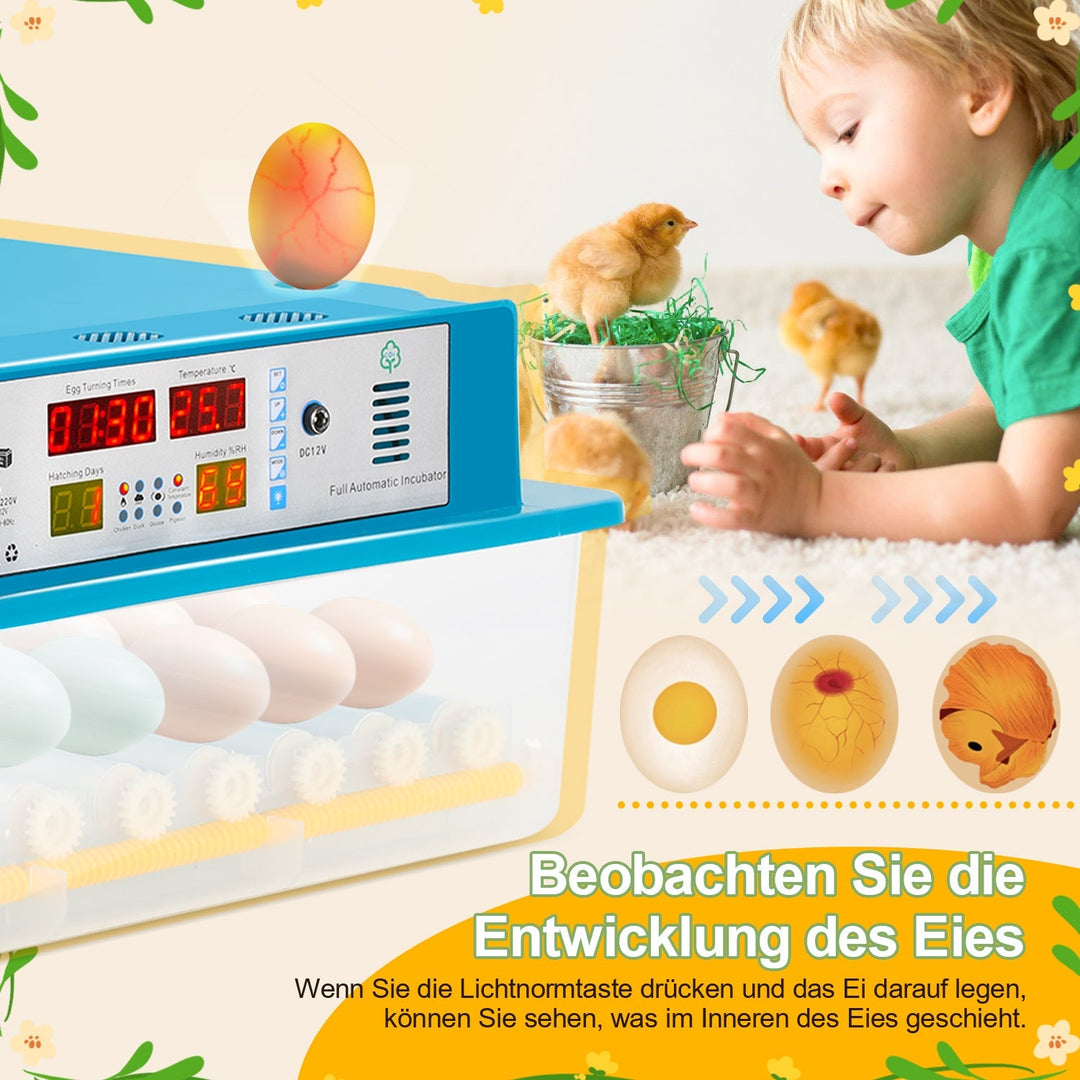 Brutautomat Fully Automatic Incubator for Chickens 64 Eggs | Bowlift