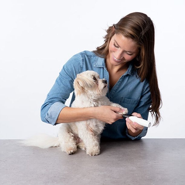 BowLift | Rechargeable Pet Nail Grinder Soundless Good for Pet's Health