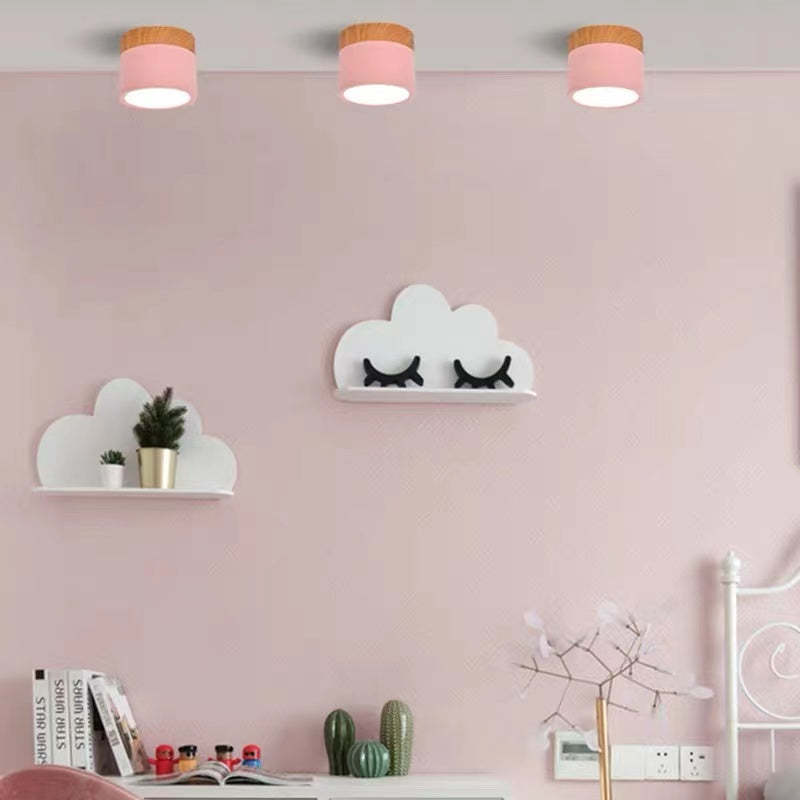 Morandi Style Modern LED Ceiling Lamp - LumiModo | Bowlift