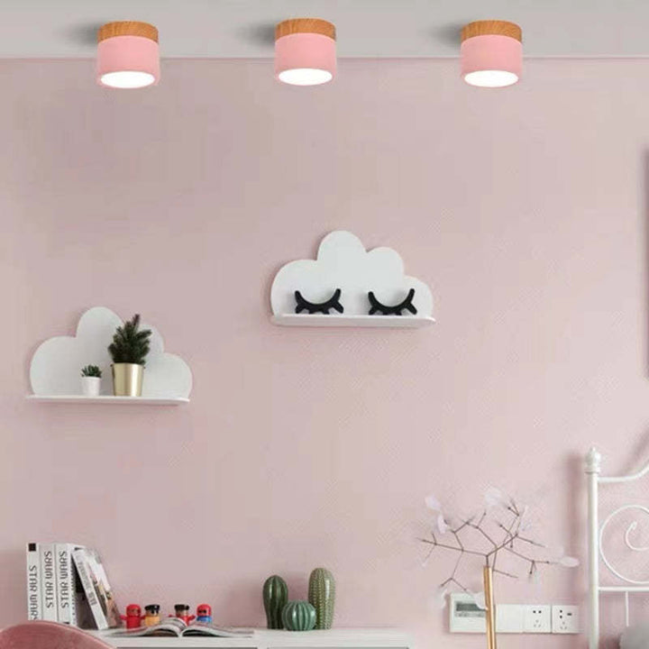 Morandi Style Modern LED Ceiling Lamp - LumiModo | Bowlift