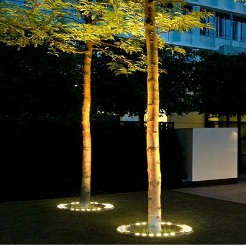 BowLift | Outdoor Lighting Ring for Tree Illumination