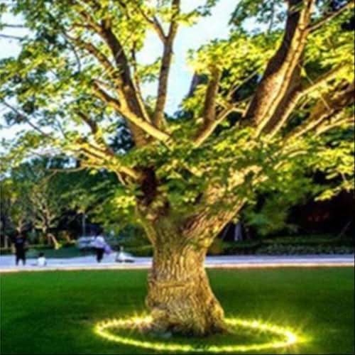 BowLift | Warm White Outdoor LED Tree Uplight