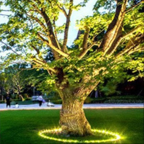 BowLift | Outdoor Lighting Ring for Tree Illumination