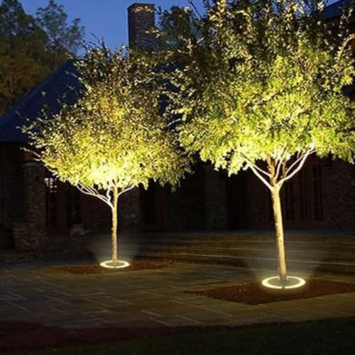 BowLift | Warm White Outdoor LED Tree Uplight
