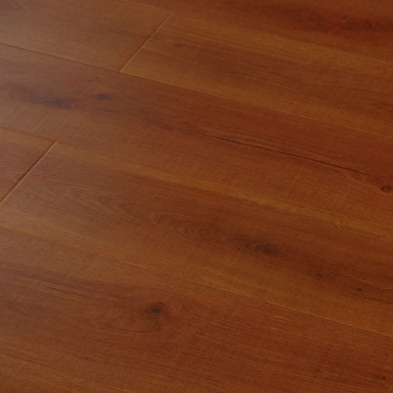 BowLift | Scratch-resistant laminate flooring click laminate planks