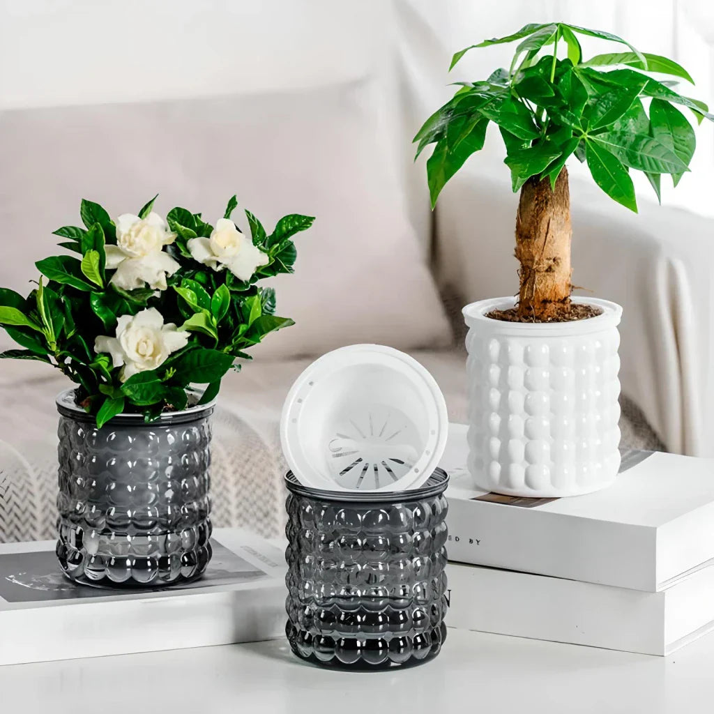 BowLift | Self-Watering Hydroponic Succulent Planter