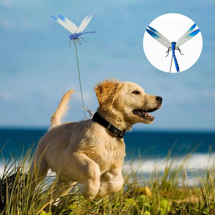 BowLift | Simulation stick dragonfly clip