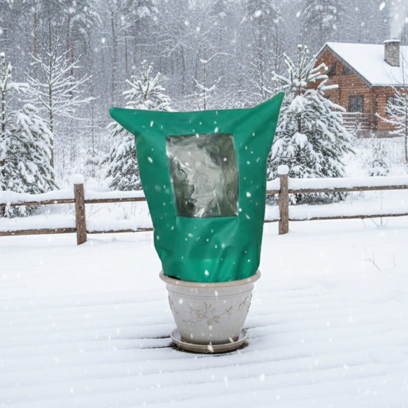 BowLift | CozyPlant – Protect your plants from winter cold and help them thrive