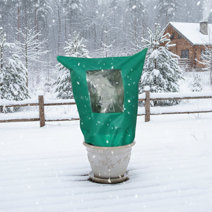BowLift | CozyPlant – Protect your plants from winter cold and help them thrive