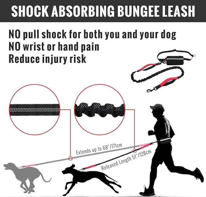 BowLift | PawsFree Pro – Enjoy stress-free walks with your dog