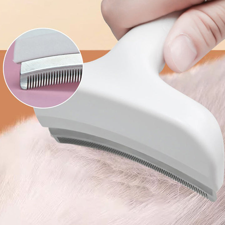 BowLift | TidyFurr – Simple fur care for a clean, happy home