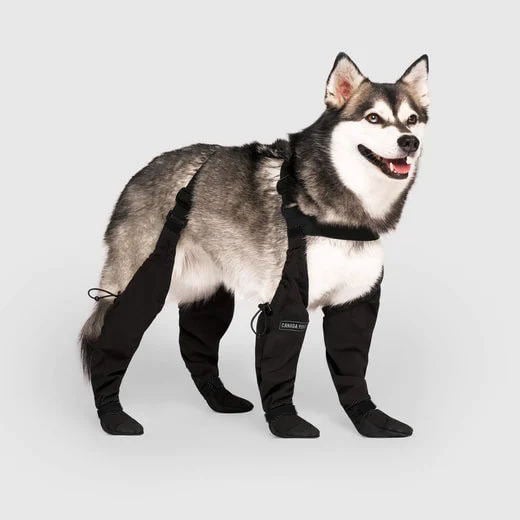 BowLift | PootShield Dog Boots – Weatherproof Shoes for Every Walk