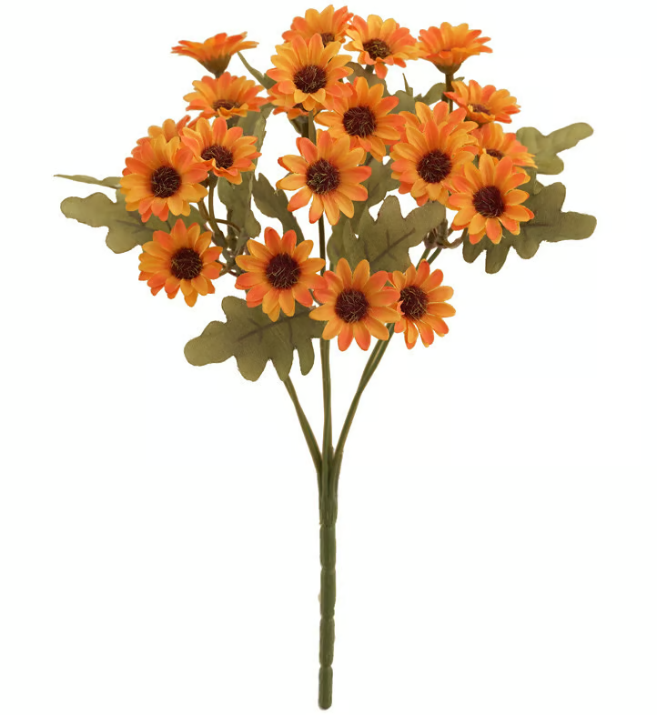 BowLift | AutumnBlaze — Your worry-free garden hit with colors that enchant every autumn!