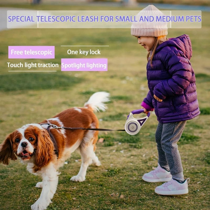 BowLift | Luminous lead for pets