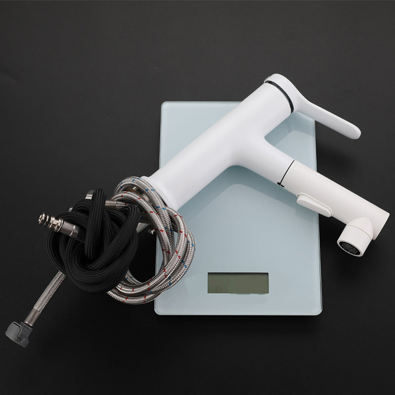 BowLift | Modern Extendable Sink Faucet Bathroom Faucet Brass 1 Handle Sink Faucet with Water Hose