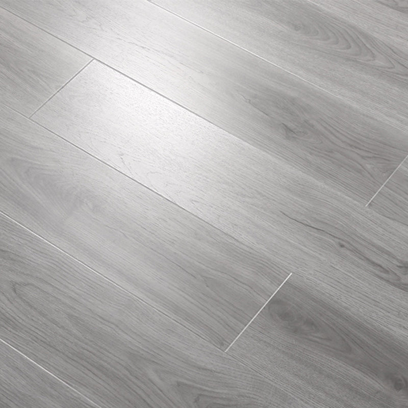 BowLift | Mold-resistant laminate flooring Scratch-resistant laminate flooring
