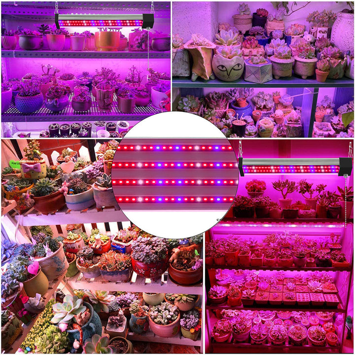 BowLift | LED plant lamp with full spectrum lighting and pull switch for optimal plant growth