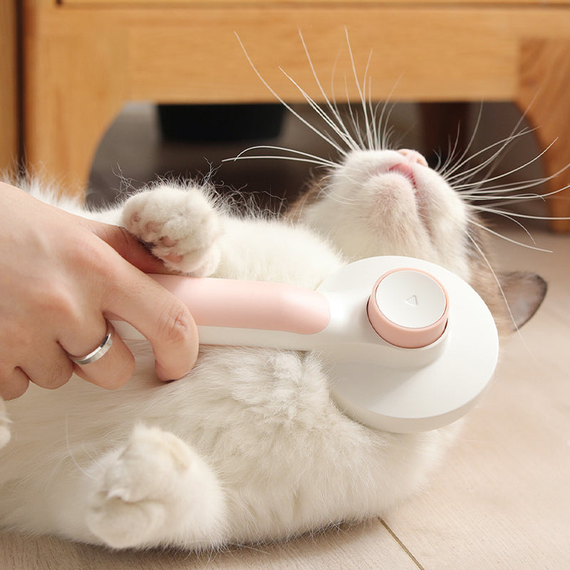 BowLift | Self Cleaning Slicker Brushes For Pet