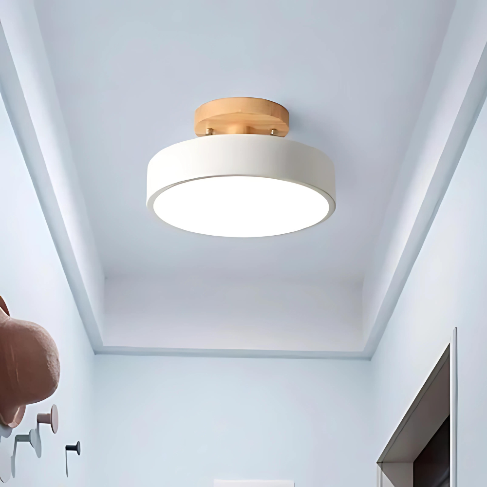 BowLift | Compact Modern LED Ceiling Lamp