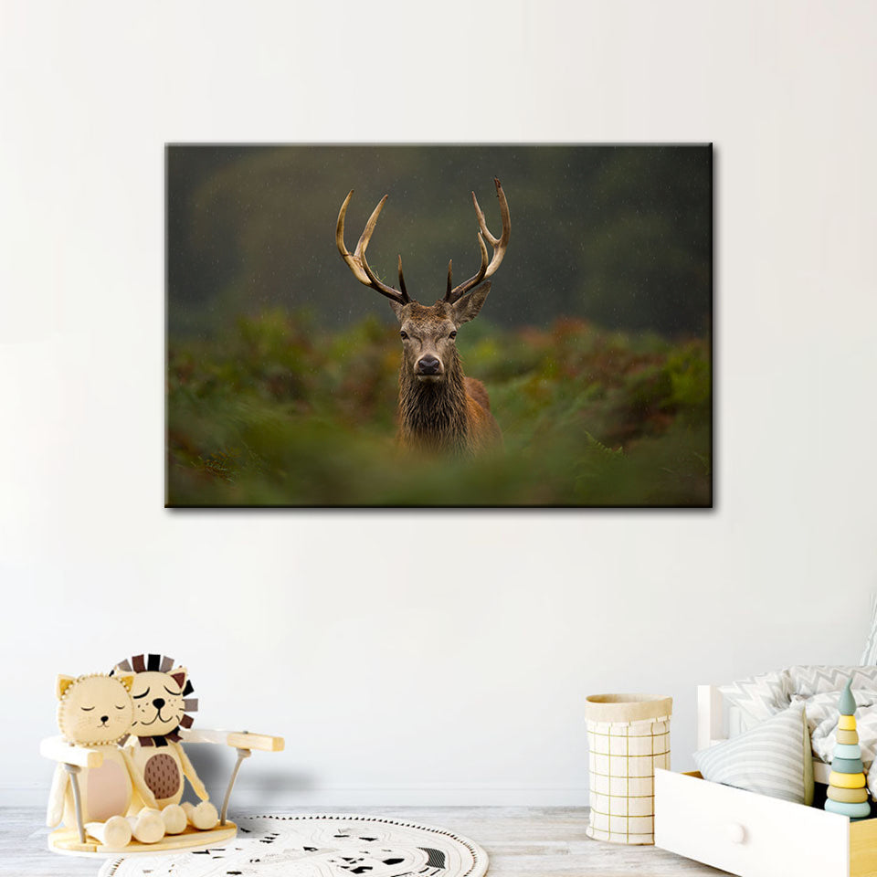 Curios Deer Amongst Ferns - Canvas Wall Art Painting | Bowlift