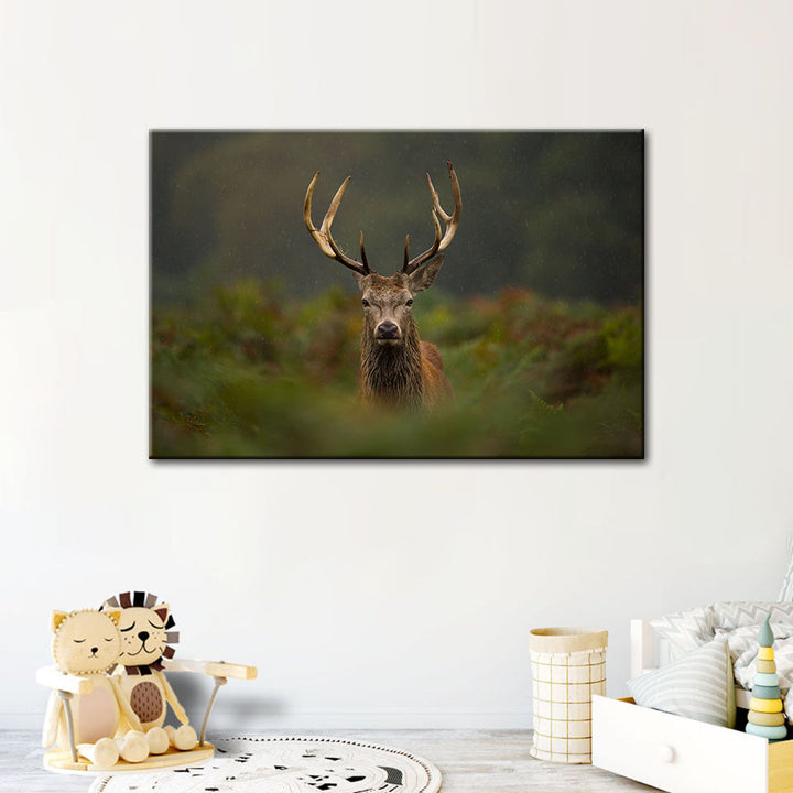 Curios Deer Amongst Ferns - Canvas Wall Art Painting | Bowlift