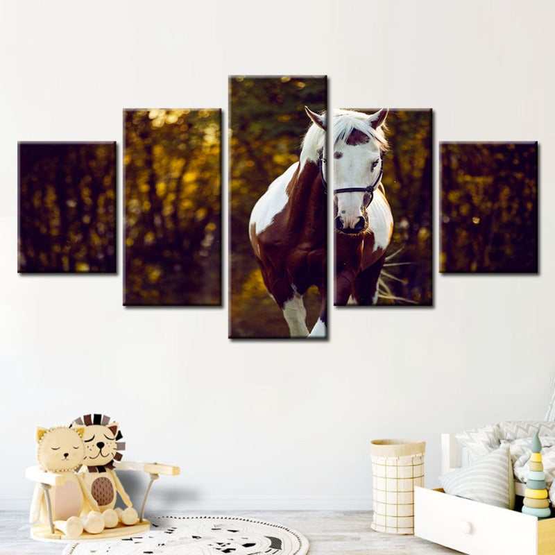 5 Piece Courtly Overo Horse - Canvas Wall Art Painting | Bowlift