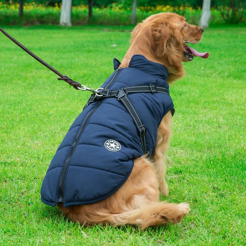 Winter coat with zipper for dogs | Bowlift